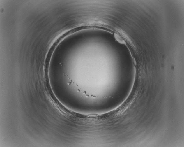 X0000067950932200604131432