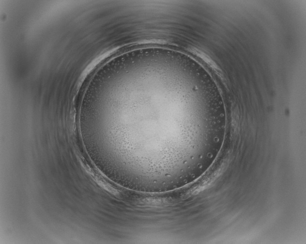 X0000067950933200604131432