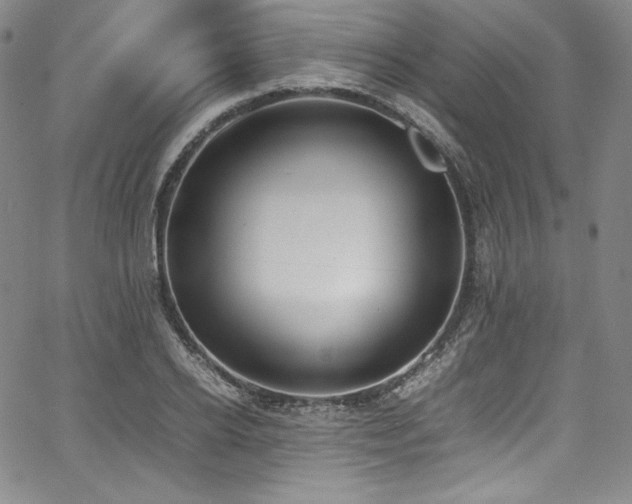 X0000067950934200604131432