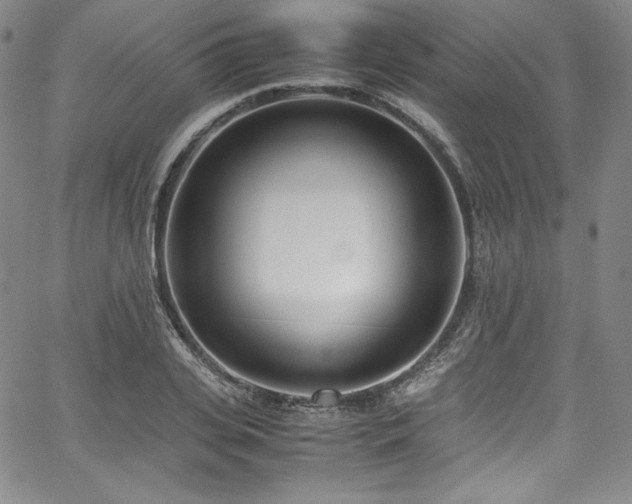 X0000067950935200604131432