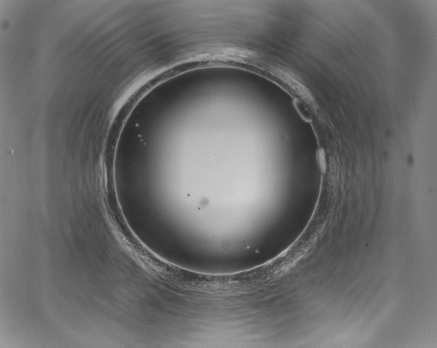 X0000067950936200604131432