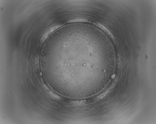 X0000067950937200604131432