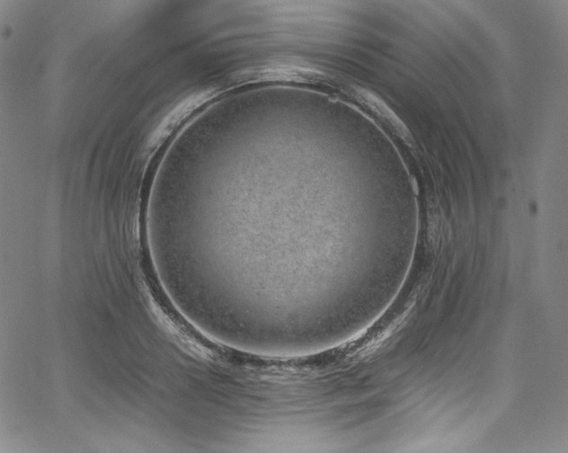 X0000067950938200604131432