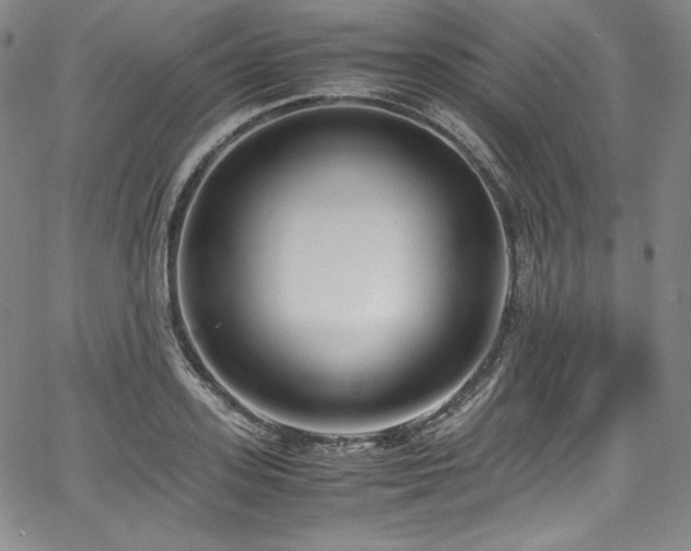 X0000067950939200604131432