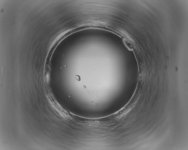 X0000067950940200604131432