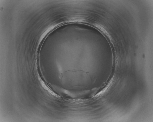 X0000067950941200604131432