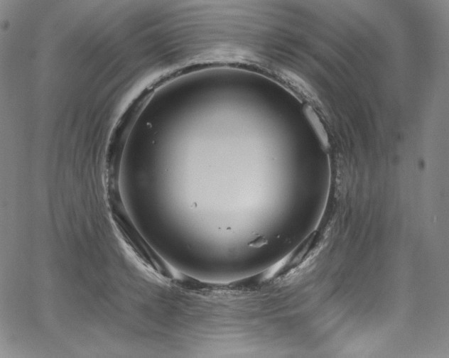 X0000067950942200604131432