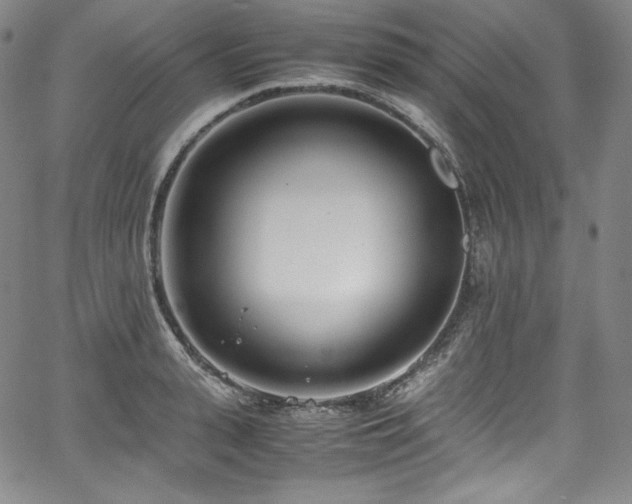 X0000067950943200604131432