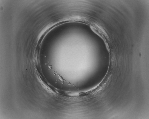 X0000067950944200604131432