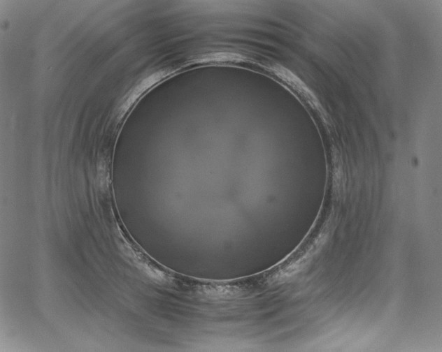 X0000067950945200604131432