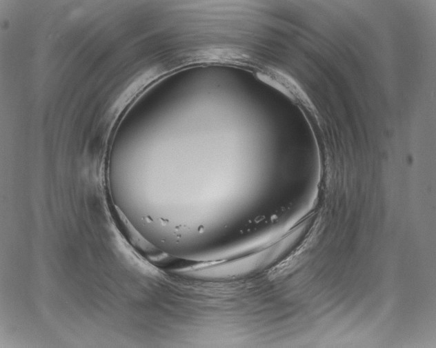 X0000067950946200604131432