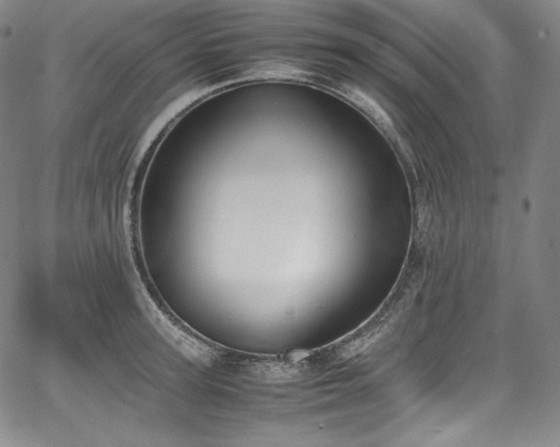 X0000067950947200604131432