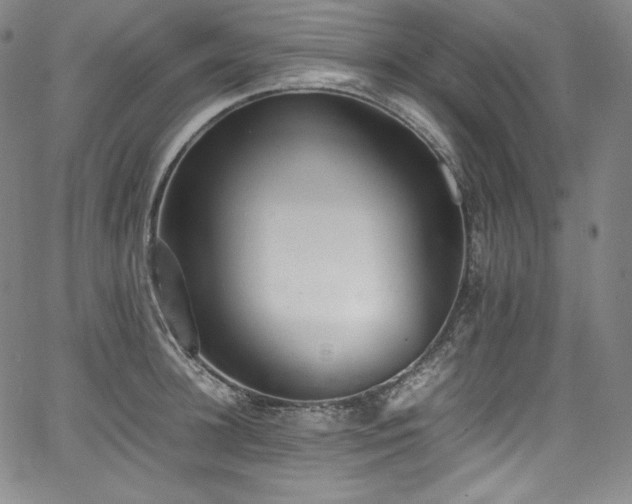 X0000067950948200604131432