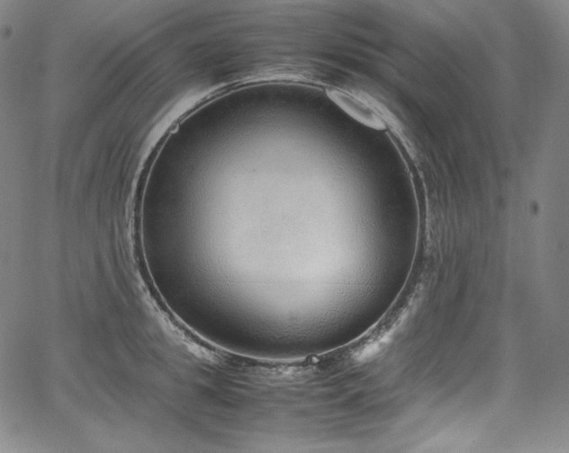 X0000067950949200604131432