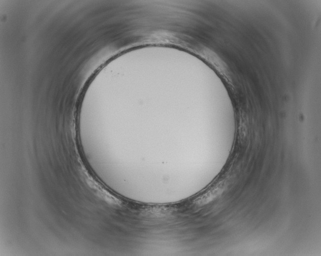 X0000067950950200604131432