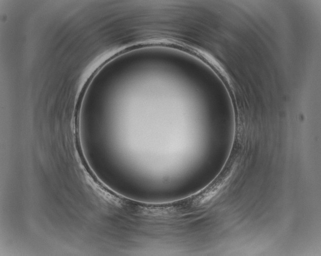 X0000067950951200604131432