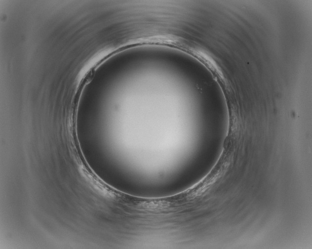 X0000067950952200604131432