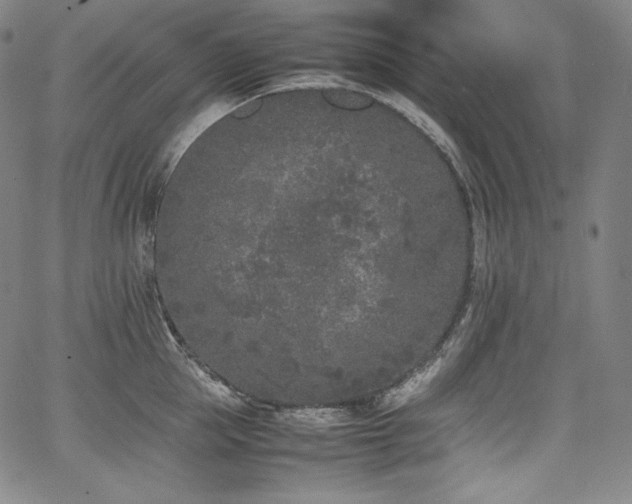 X0000067950953200604131432