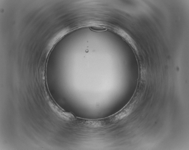 X0000067950954200604131432