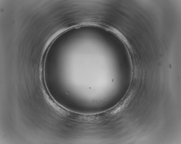 X0000067950955200604131432