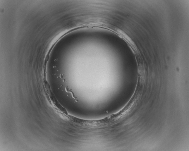 X0000067950956200604131432