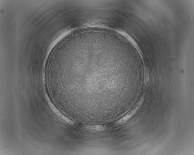 X0000067950957200604131432