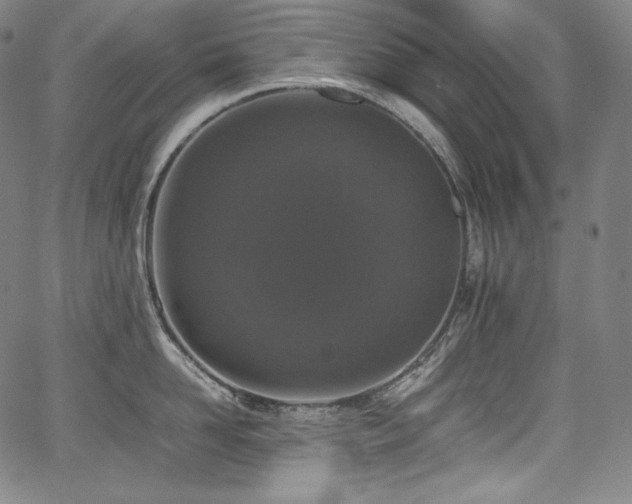 X0000067950958200604131432