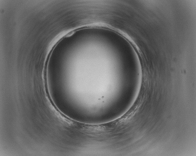 X0000067950959200604131432