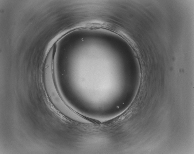 X0000067950960200604131432