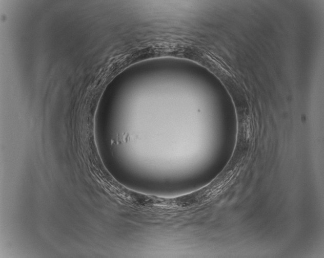 X0000067950961200604131431