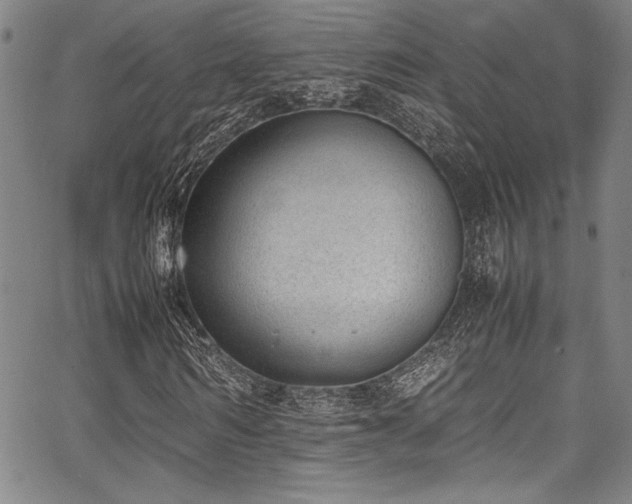 X0000067950962200604131431