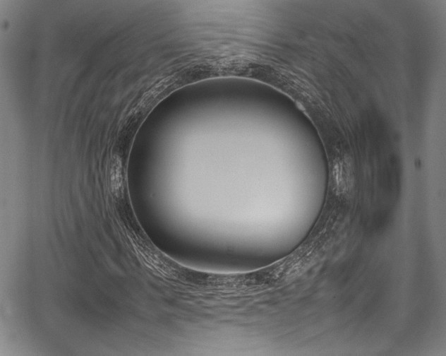 X0000067950963200604131431