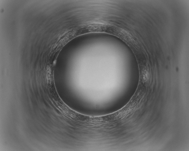 X0000067950964200604131431