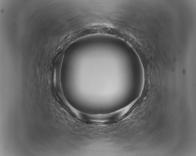 X0000067950965200604131431