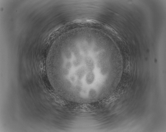 X0000067950966200604131431