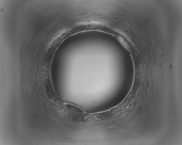 X0000067950967200604131431