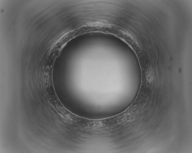 X0000067950968200604131431