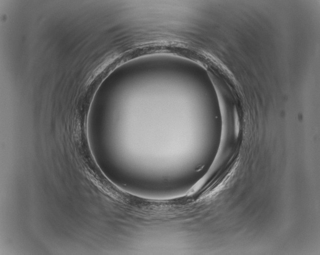 X0000067950969200604131431