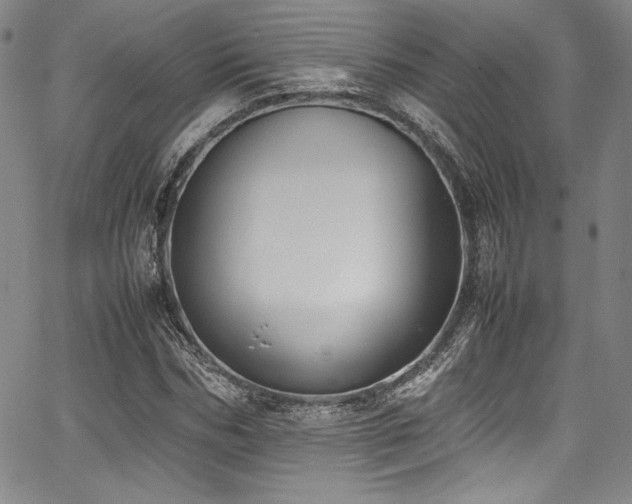 X0000067950970200604131431