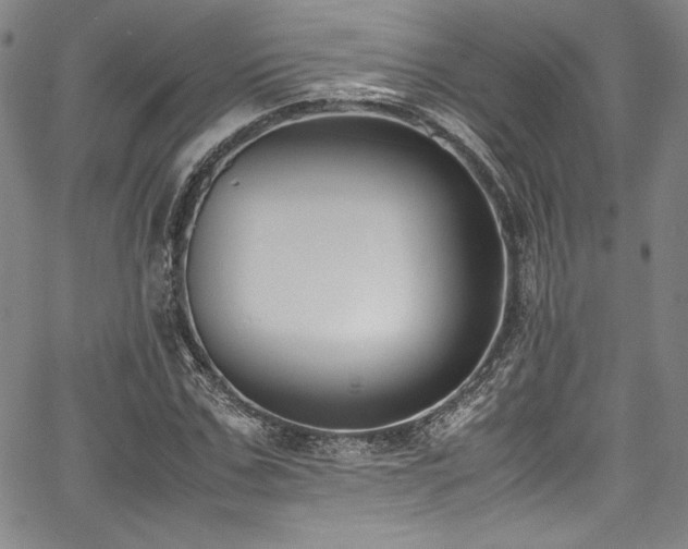 X0000067950971200604131431