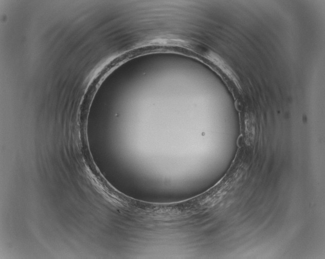 X0000067950972200604131431