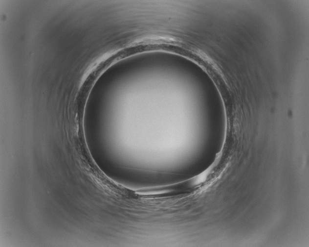 X0000067950973200604131431