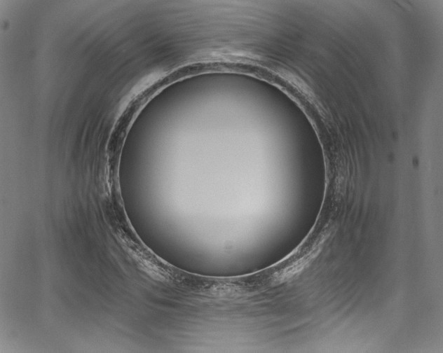 X0000067950974200604131431