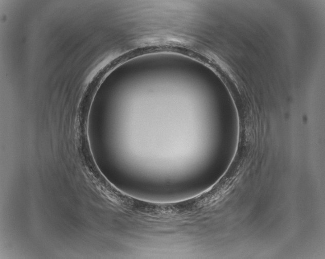 X0000067950975200604131431