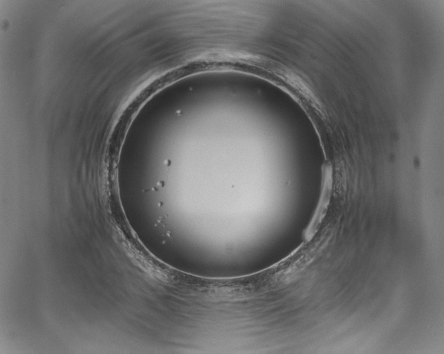 X0000067950976200604131431