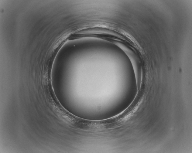 X0000067950977200604131431