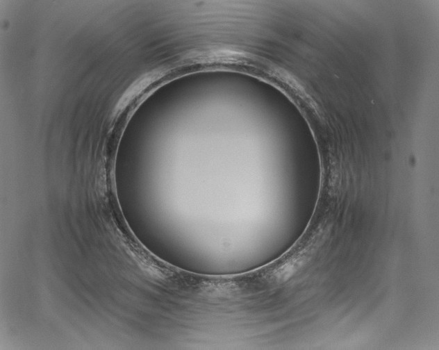 X0000067950978200604131431