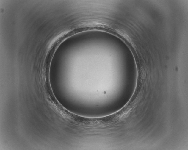 X0000067950979200604131431