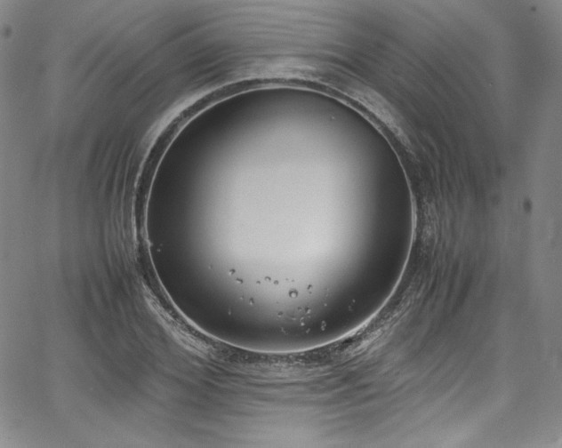 X0000067950980200604131431