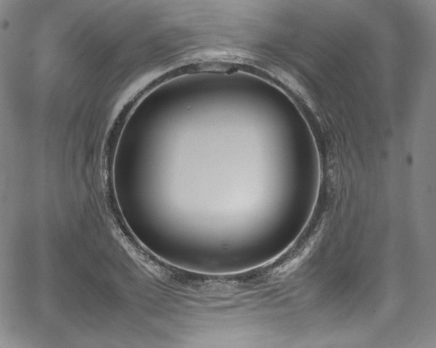 X0000067950981200604131431